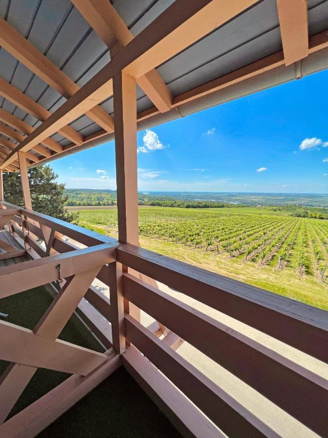 Отель Hilltop Borbirtok & Etterem Neszmely Экстерьер фото